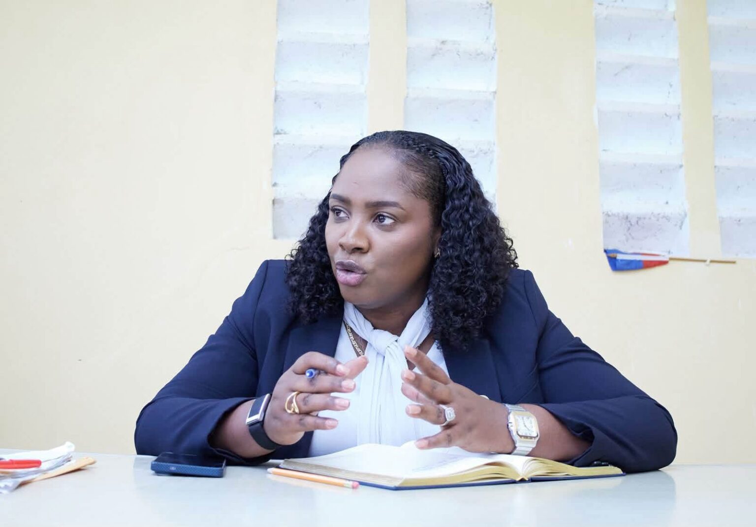Élections en Haïti : Sandra Paulemon évalue l’avancement des préparatifs dans le Sud-Est